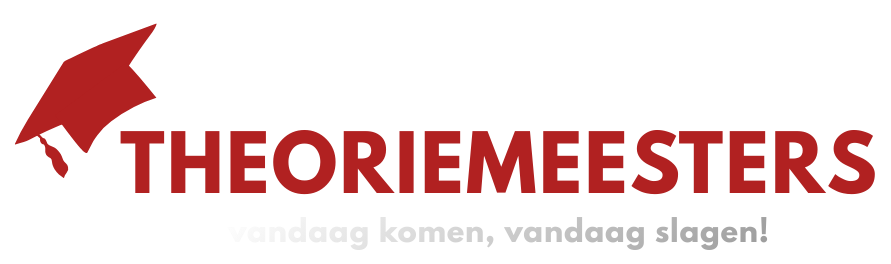 Theoriemeesters logo